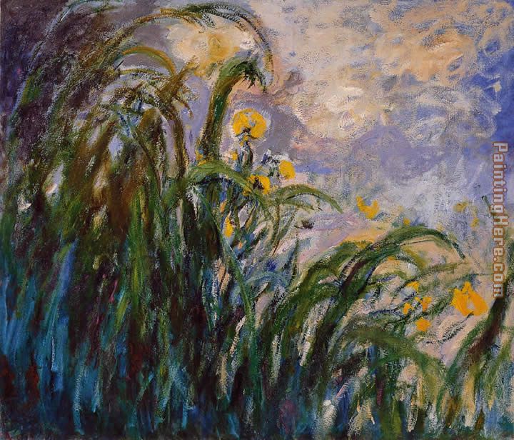 Claude Monet Les iris jaunes 1824